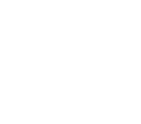 P/S brand logo